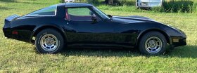 Corvette C3 v8 1981 - 5