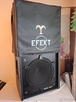 Reproduktory EFEKT Music 150 S - 5