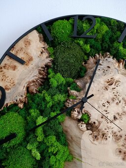 Machové hodiny s Očkovým topoľom - 5