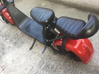 HARLEY - 5