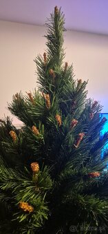 Predám top krásny vianočný stromček 2,05m. - 5