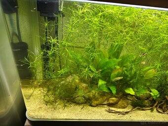 Akvarium - 5