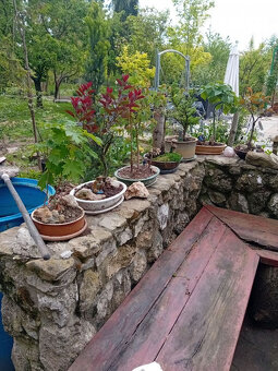 Výrazne znížená cena....Jedinečný rodinný dom v Šali/Veči - 5