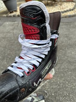 Korcule Bauer Vapor 1x - 5