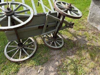 Starožitný žebřiňák - 5