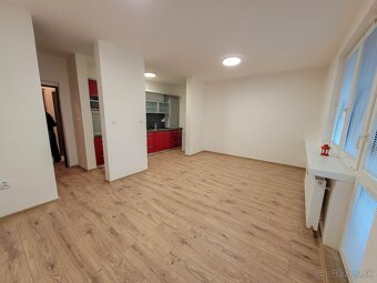 Prenájom 1 - izb byt Kanianka prerobený - 5