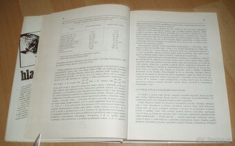 Hlavátka - 5