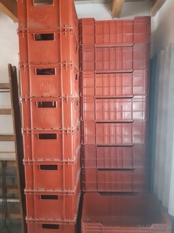 Plastové prepravky (bedničky) - 5