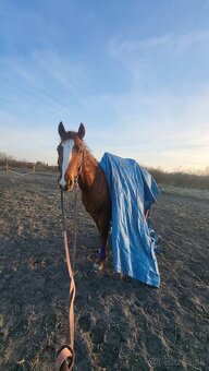 QH valášek - 5