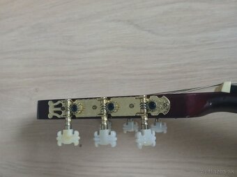 Gitara Ashton - 5