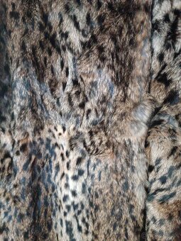 Pravý kozuch Rys ostrovid - 5