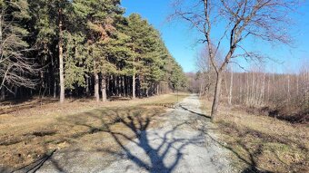 ZÁHRADA BEZPROSTREDNE PRI LESE - KOŠICE - ŠACA,LUDVÍKOV DVOR - 5