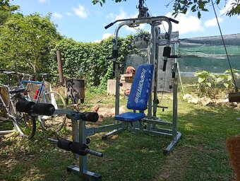 InSporttine veza - 5