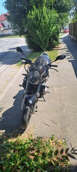 Predam Honda Hornet 600 - 5