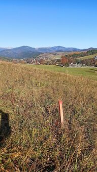 Pozemok na predaj - Dolná Lehota Brezno - 5