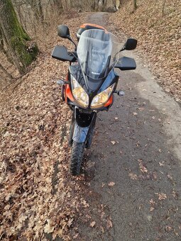 Suzuki DL 650 v-strom - 5