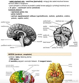 Príprava na maturitu a prijmacky - bio, chem, fyz - 5
