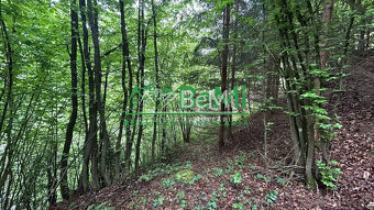 Pozemok Tajov – pokojné miesto pri potoku - 5