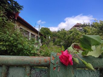 NA predaj chalupa Čaka, okres LEvice - 5