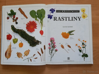 Rastliny - Edíciia - Vidieť - Poznať - Vedieť - 5