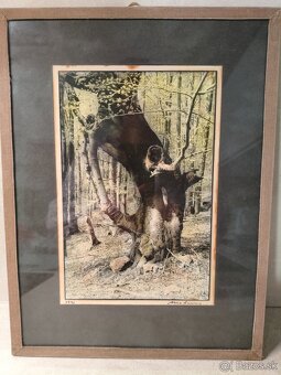 Rôzne obrazy a obrazky - 5