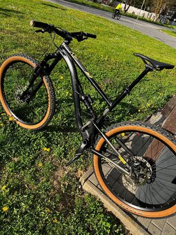 Custom Kellys Thorx 160/140mm - 5
