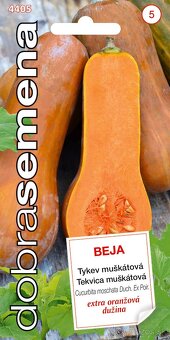 Tekvica, cuketa - semená - 5