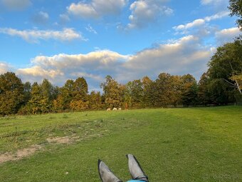 Ustajnenie v Lehote pod Vtáčnikom - 5