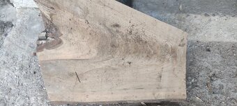 Predam Orechove Fosne (vysusene viac druhov ) - 5