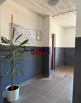 NA PREDAJ – 3-izbový byt ČIERNA NAD TISOU - 5