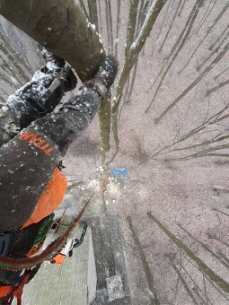 Arboristika, rizikové výruby a orezy stromov - 5