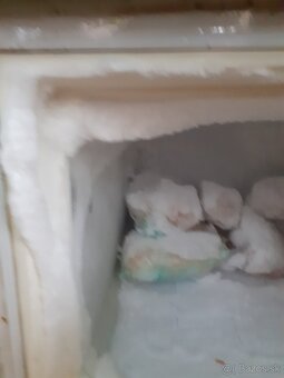 Predam chladnicku s mraznickou mraznicku elektricel.miniruru - 5