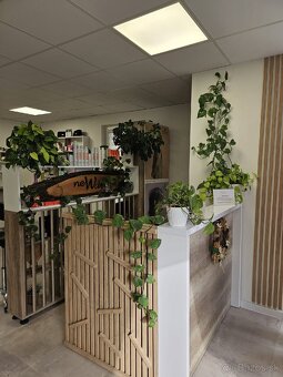 Prenajom obchodneho priestoru 100 m2 - 5