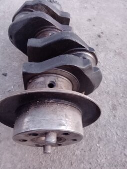 Kľukovka Gliwice - 5