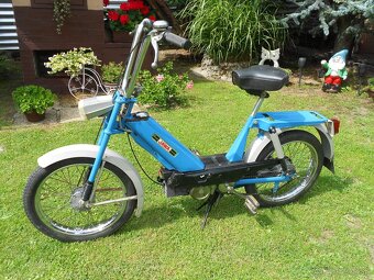 predam Babetu 207/500 - 5