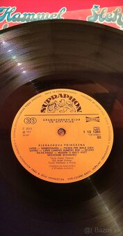 Lp Pavol Hammel-Šlehačková princezna - 5