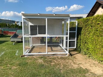 Kurnik/ Voliera 2,5 x 2,5 m - 5