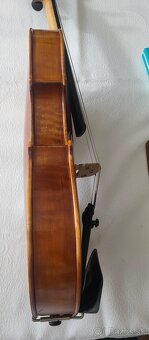 Viola - 5