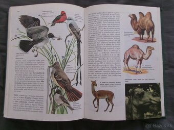 Svet živočišnej ríše. - 5