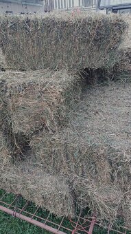 Predám malé balíky slamy  a sena - 5