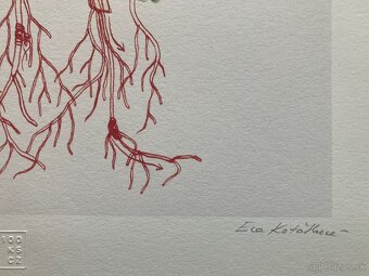 Eva Koťátková - Replanted - 5