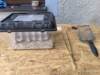 Terarium + príslušenstvo - 5