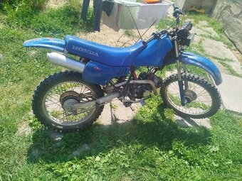 PIT BIKE 110 - 5