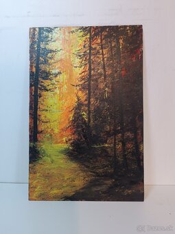 Akrylové obrazy 50x30 4 - 5