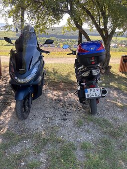 Maxon ardour 125 TP - 5