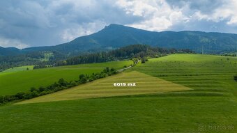 TOP CENA: Investičný pozemok vo Vyšnom Kubíne na predaj - 5