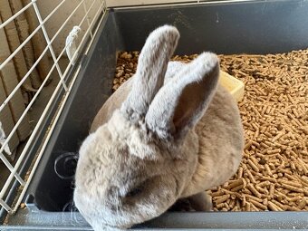 Klietka pre králika - 5