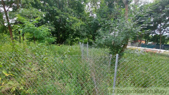 Záhrada pri lesíku na predaj Holíč - 5