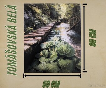 Fotoobraz zo Slovenského raja, oblasť Tomášovská Belá
- 5