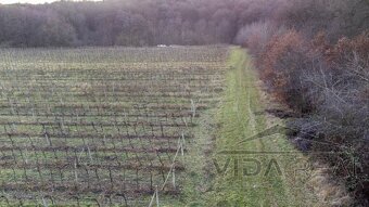 Krásny pozemok s potenciálom - 5